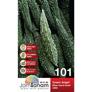 [10 seeds] Bitter Gourd Small Green Angel 101 山苦瓜种子 Benih Peria Kecil