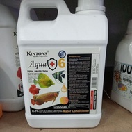 K76 KINTONS AQUA +2L
