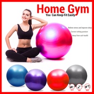 Large Yoga Ball 75 cm Sport Swiss Ball Rhythmic Gymnastics Ball