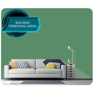 NIPPON Exterior paint Q-Shield 5 Liter - BGG1800D TERRESTRIAL GREEN