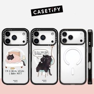 Magnetic Sleeping Sick Cat Acrylic Phone Case For iPhone 17 Pro Max 17 Air 16 Plus 15 14 13 12 Shock