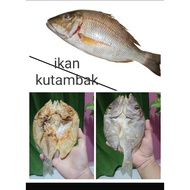 ikan masin sabah,ikan masin kutambak,ikan masin semporna sabah