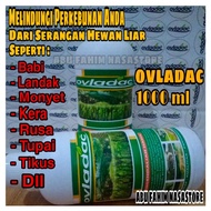 OVLADAC 1000 ML (Racun Hama Babi Landak Monyet Kera Rusa Tupai Tikus / Pengendali Hama)