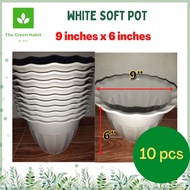 TGH | 25 PESOS PASO 9X7 INCHES 10 pcs Pot for Plants Paso ng halaman Plastic white pot for plants