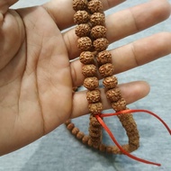 KALUNG JENITRI RUDRAKSHA BIJI JENITRI