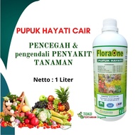 Pupuk Hayati Cair anti layu cabe Floaone Pseudomonas Fluorescens pengendali penyakit busuk buah busu