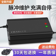 Zhufeng Suitable for Electric Vehicle Battery Charger 48V12AH60V20AH72V30AH Tram Tricycle Universal