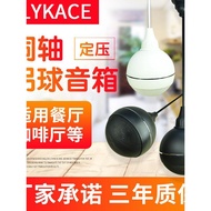 Flykace Fixed Pressure Ceiling Hanging Ball Speaker Shop Restaurant Background Music Audio Ceiling H