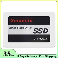 Goldenfir Solid State Drive Computer Hard Disk Hard Disk