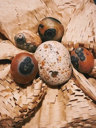 戰國紅瑪瑙系列-眼睛&花眼