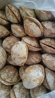 Panocha SINAKLOB 5kilos