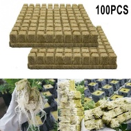Gracekarin Rockwool Cube Rockwool Cubes Cubes Hydroponic Non-sterile Planter Plug NEW