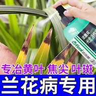 有機肥 花肥 開花肥 肥料 氮磷鉀 磷鉀肥 磷酸二氫鉀 蘭花病害專用藥黃葉焦尖病白絹病炭疽病根腐病抗病殺菌通用肥料