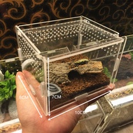 acrylic transparent box Terrarium for reptile and amphibian cricket Turtle Spider snail Glass