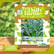 Benih Sayuran - Kale NERO Kale Lacinato - Daily Farm