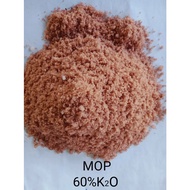 MOP 25KG/50KG - Fertilizer for plants (Baja) - MURIATE OF POTASH