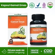 Obat Hepatitis B Kronis - Obat Liver - Obat Peradangan Hati - Gold Max