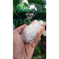 EPSOM SALT ORGANIC FERTILIZER BAJA ORGANIK (MAGNESIUM SOLFATE)/GARAM PERTANIAN