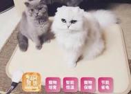JPHEAT日本 地暖墊 猫狗小動物電熱地毯 取暖墊 防水防抓寵物加熱墊