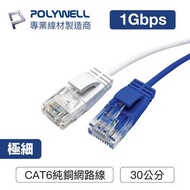 【兩入組】POLYWELL CAT6極細網路線0.3M(白) PW15-W58-Q003