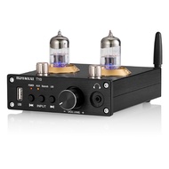PJ.MIAOLAI T10 Bluetooth 5.0 6H3N Tube Amplifier U Disk Lossless Decoding MAX9722 HIFI Headphone Amp
