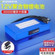 Delip 12V Polymer Lithium Ion Battery 24V Lithium Battery Instrument Instrument Battery 12V Polymer 