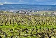 2-day Burgundy 4 Domains, Champagne Moet, Veuve Clicquot Private