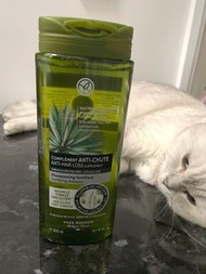 現貨❤️ yves rocher 防脫髮防脫髮洗髮露 300Ml