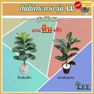 (NEW) ต้นไม้ปลอม "รุ่น LL" พร้อมกระถาง สูง 60 ซม. ( ต้นยางอินเดีย / ต้นไทรใบสัก )  ( ต้นไม้ปลอม ต้นไม้ประดิษฐ์ Leeartplants )
