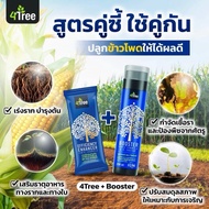 4Tree โฟร์ทรี + Booster บูสเตอร์ ✅ข้าวโพดใหญ่ เมล็ดเต็มฝัก พลัง x4 ไคโตซานประสิทธิภาพสูง