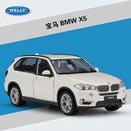 阿米格Amigo│威利 WELLY 1:24 寶馬 BMW X5 SUV 休旅車 合金車 模型車 車模 預購