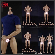 COOMODEL 1/6 Male Standard Muscle Joint Body Bd001 Bd002 Bd003 Bd007 Bd008 Bd009 Bd010 25/27Cm Late
