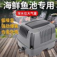 Pam Oksigen Kolam Ikan Youzhixing, Oksigenator Penternakan Ikan, Aerator Kolam, Oksigenator Rawatan 