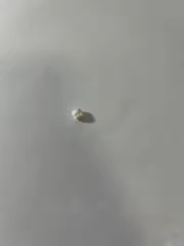 1PCS for Nikon D800 D4 D4S D810 Aperture Gear Focusing Motor Maintenance