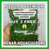 Azolla Premium /kiambang/Aquarium/Aquatik/Aquascape/ water plant [NO SABAH SARAWAK]