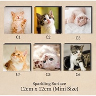 Cute Cat Mini Frame / Wall Decoration (Frame/canvas) 12cm x 12cm
