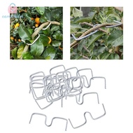 [camhmdm] 20Pcs Fruit Tree Branch Puller Fruit Tree Planting Tool Plum Tree Open Angle Pull Branch S