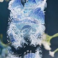 水光瀲灩晴方好 水晶宮夢景色 PET 紙膠帶 貝殼光 10米卷