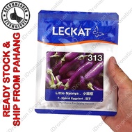 Leckat GWG 313 323 Seed Seeds Benih 2G 10G 2000 Biji Terung Terong Mini Panjang Purple Bride F1 Hybr