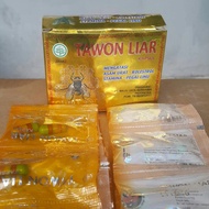 kapsul tawon liar asli original