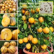 Ready Stock Pepino Melon Seeds Ginseng Fruit Seeds for Planting (10 Seeds Per Bag) Advanced Fruit Se