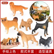 Children Solid Animal Model Toy Simulation Golden Retriever Teddy Schnauzer Labrador Dog Doberman