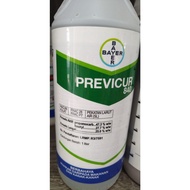 1L Previcur 840 Bayer Propamocarb 47.3% Fosetyl 27.7% Racun Kulat Cili Cabai
