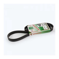 ALTIS MITSU Belt (6PK1230 MIT$)