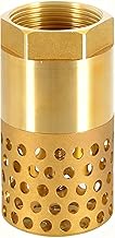 1 Inch Brass Check Valve, 1 Inch Backflow Preventer with Internal Thread, DN25 Check Valve with Filt