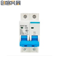 DZ47-63 Small Circuit Breaker 2P Switch 2P Air Switch Mini Circuit Breaker C45 Switch Circuit Breake