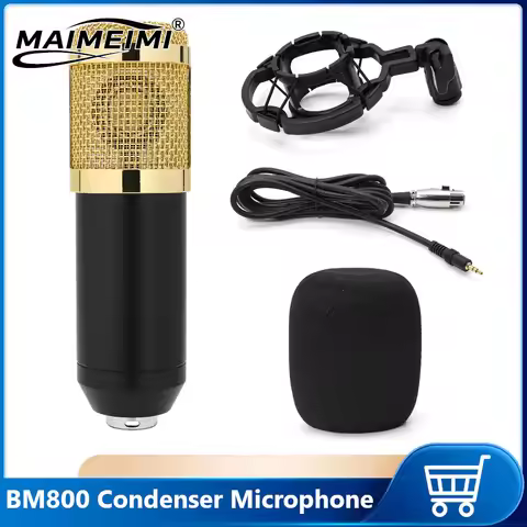 Professional BM 800 karaoke microphone BM800 studio condenser mikrofon mic bm-800 For KTV Radio Brao