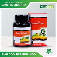 Kapsul Gamat Emas Original Gamat Emas 50 Kapsul - Obat Herbal Multikhasiat Segala Penyakit by Acep Herbal Official