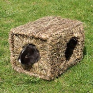 Petcare House Toy Cavy Marine Chinchilla-Grass House