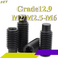 12.9 grade cylindrical hexagonal screw convex end machine rice nail M2/M2.5/M3/M4/M5/M6 【FKY-CB】